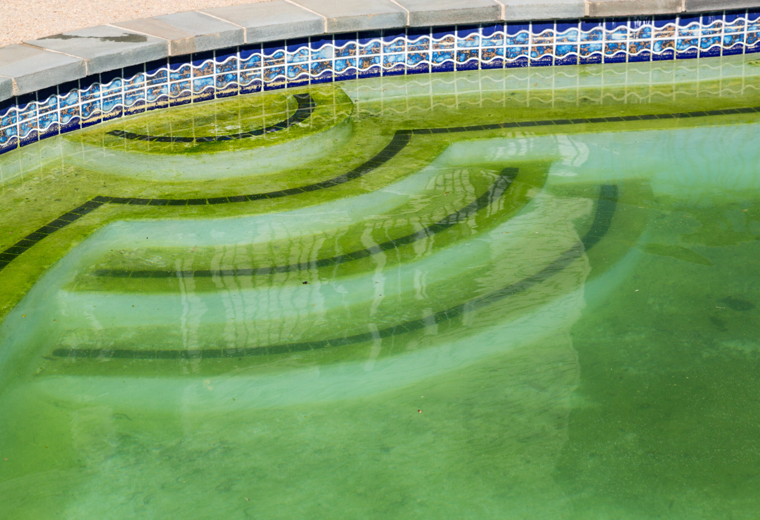 Why Is My Swimming Pool Cloudy?