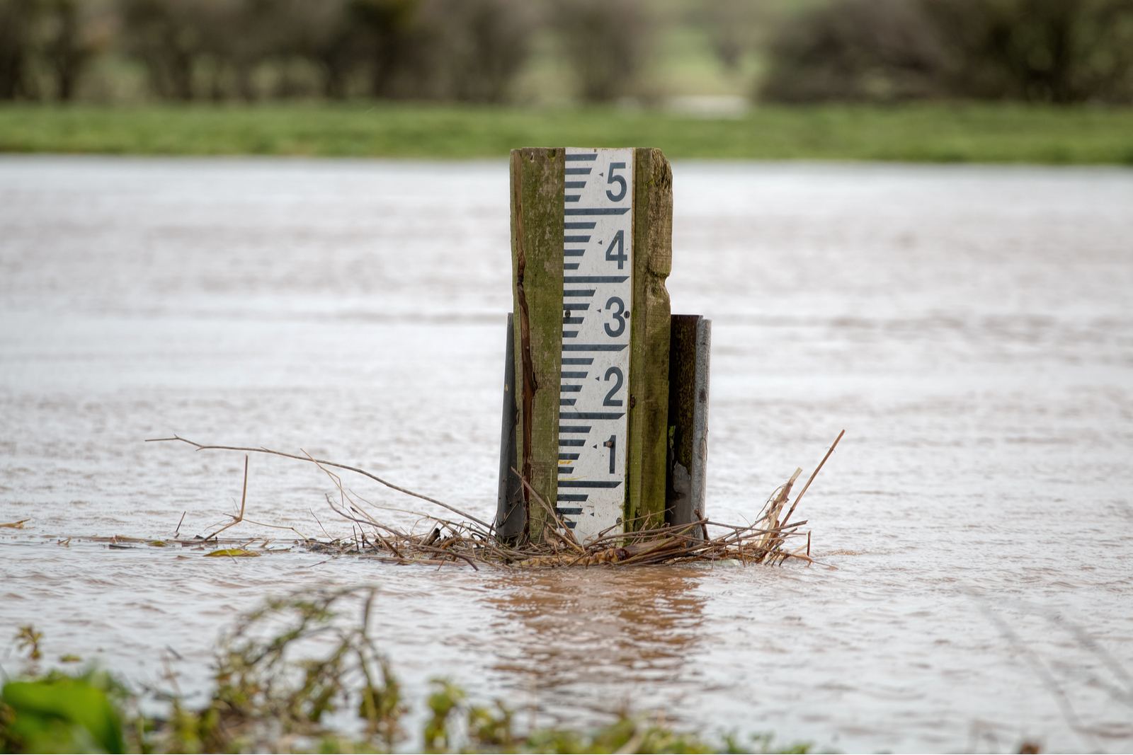 High Water Level Marker Gauge For High Water Table | Waterside Poolscapes